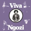Viva Ngozi (Opaque Orange Vinyl) -The Yetee Shop 418467282806 360