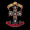 Appetite For Destruction CD